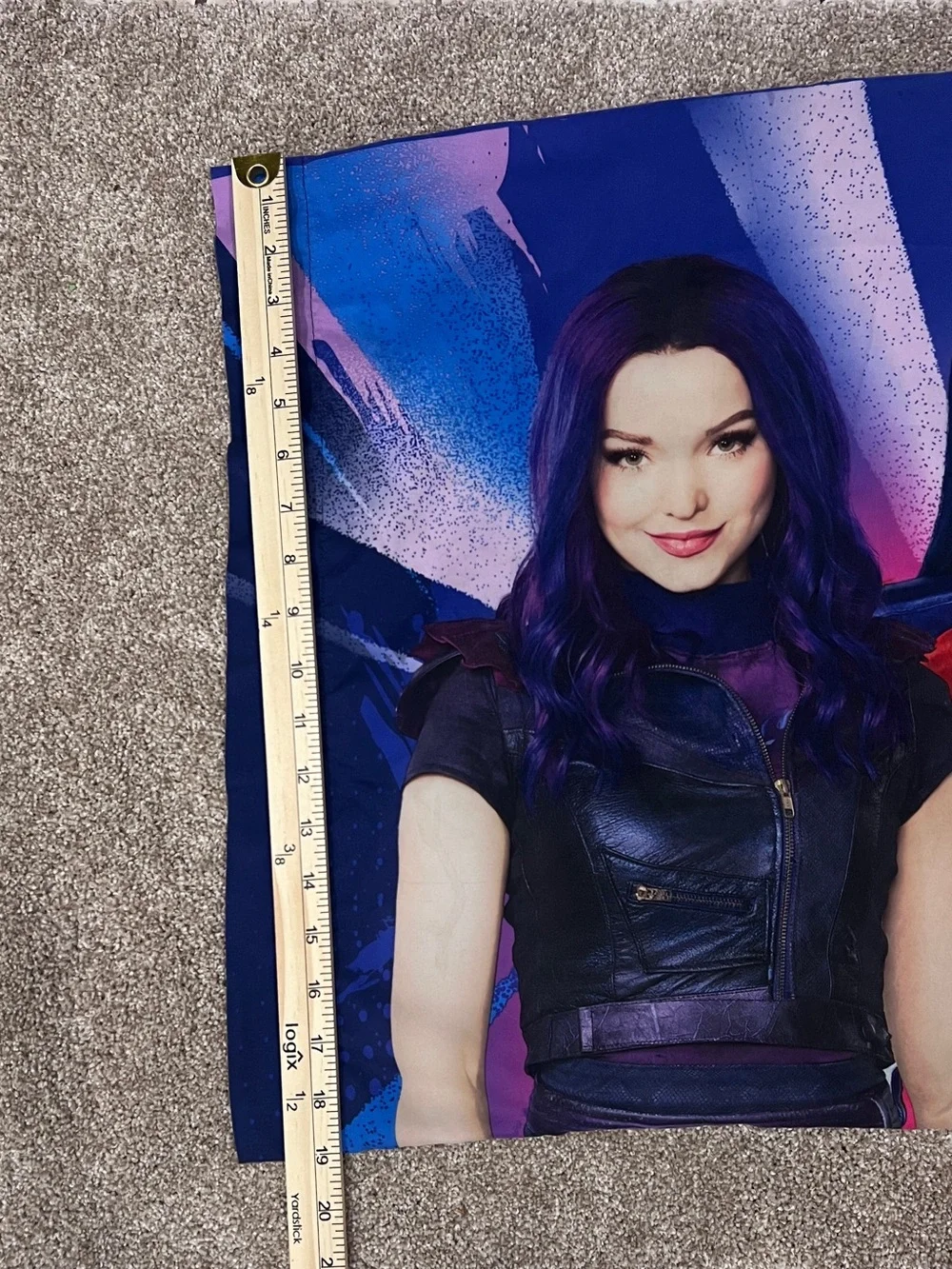 Disney Descendants 3 Pillowcases Set of 2 Two-Sided Mal Evie Uma Audrey
